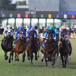 ABR Sunday Selections: Full-Card Picks for March 29 at Gulfstream Park